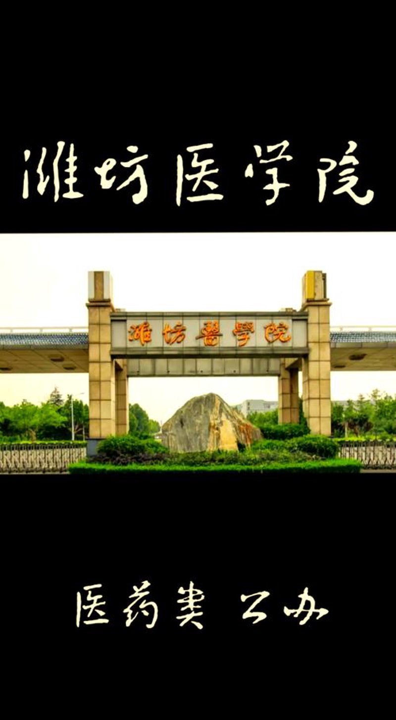 泌尿系统疾病的最新趋势解读：以女性为视角