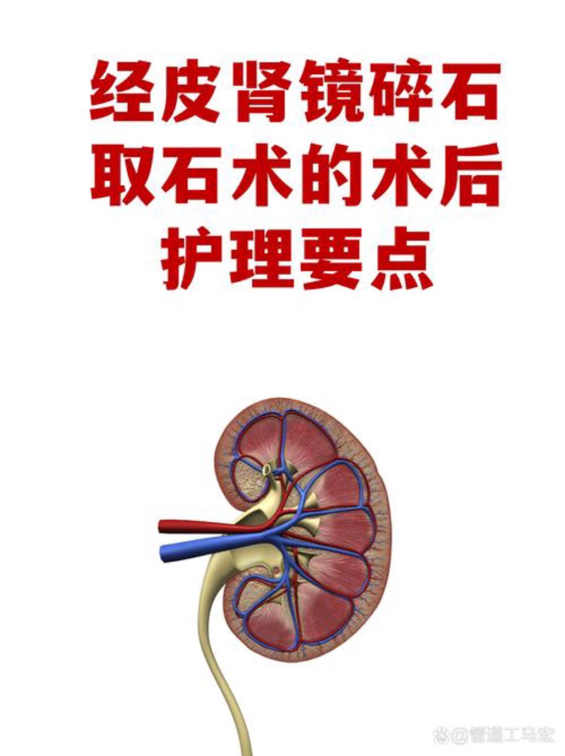 前列腺炎的治疗案例分析:从就医误区到科学应对